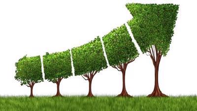 Thiếu “cơ chế” để doanh nghiệp tham gia phong trào năng suất xanh