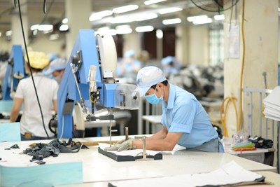  Ninh Bình lên kế hoạch hỗ trợ doanh nghiệp nâng cao năng suất và chất lượng sản phẩm, hàng hóa 