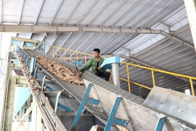 Nhà máy Tinh bột sắn Kon Tum: thành công nhờ tích hợp ISO 9001, 14001 và công cụ Kaizen