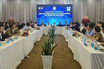 Nhận diện tiềm năng và cơ hội thị trường bất động sản Ninh Thuận