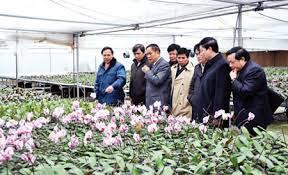 Quảng Ninh kêu gọi các doanh nghiệp đầu tư vào nông nghiệp