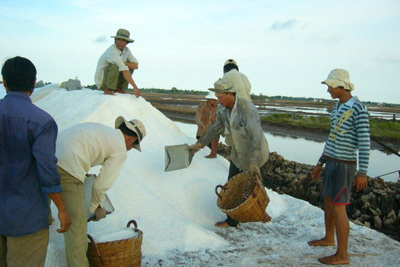 Bạc Liêu: Muối ế trắng đồng, kho dự trữ hoang phế