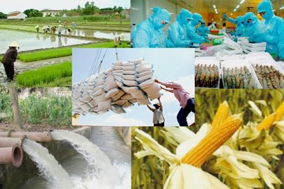 Ngành Nông nghiệp tiếp tục đẩy mạnh tái cơ cấu
