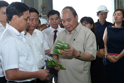  Mô hình nông nghiệp công nghệ cao tại Hải Phòng có vốn đầu tư 200 tỷ đồng