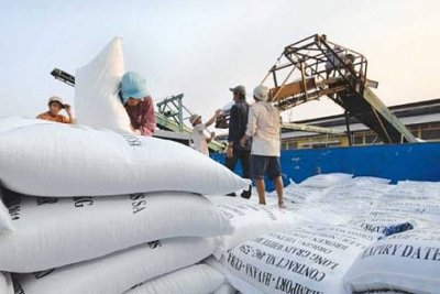 Tiến hành chấm điểm uy tín nhà thầu cung cấp gạo dự trữ quốc gia