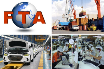 FTA phát huy hiệu quả: Xung lực thúc đẩy xuất khẩu