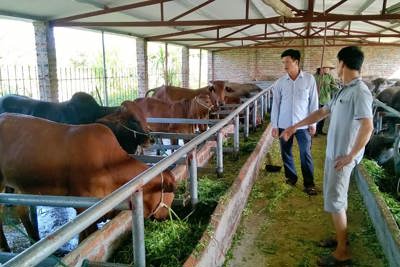 Hoàn thiện chính sách phát triển kinh tế trang trại bền vững ở tỉnh Thanh Hóa