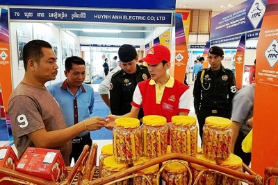 Xuất khẩu vào ASEAN: Thuận theo nhu cầu từng thị trường