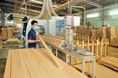 Chiến lược thu ngoại tệ từ sản xuất, xuất khẩu gỗ và sản phẩm gỗ ở Việt Nam