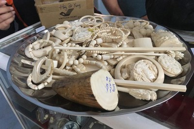 Phát hiện nhiều sản phẩm nghi chế tác từ ngà voi buôn lậu qua sân bay Nội Bài