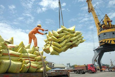 Giá gạo xuất khẩu tại châu Á lên cao nhất 7 năm