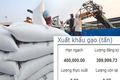 Xuất khẩu 400.000 tấn gạo: Hải quan thực hiện đúng quy định của Bộ Công Thương