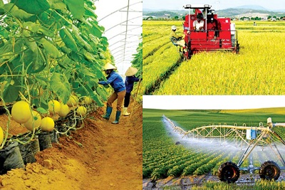 Nhân tố tác động đến tăng trưởng ngành Nông nghiệp của Việt Nam