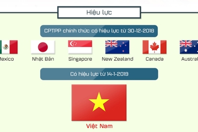 Doanh nghiệp Việt Nam cần chủ động nhiều hơn để tận dụng CPTPP