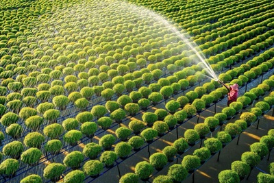 Để thị trường bất động sản nông nghiệp của Việt Nam phát triển bền vững