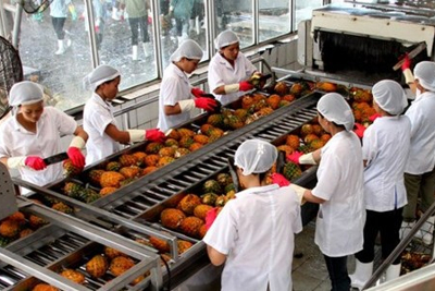 Đặc điểm thị trường Nhật Bản và một số giải pháp xuất khẩu rau quả của Việt Nam