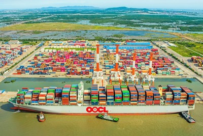 Cảng Cái Mép được đánh giá là cảng hiệu quả thứ 13 toàn cầu