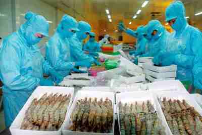 Trách nhiệm xã hội đối với môi trường: Nhìn từ các doanh nghiệp chế biến thủy sản tại Thanh Hóa