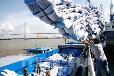 Việt Nam trúng thầu xuất khẩu 60 nghìn tấn gạo sang Philippines