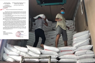 Vì sao Bộ Công Thương hỏa tốc kiểm tra doanh nghiệp xuất nhập khẩu gạo?
