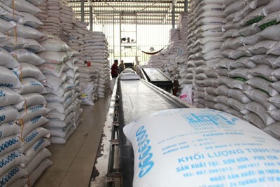 Đề xuất gỡ vướng trong cơ chế, chính sách đấu thầu mua gạo dự trữ quốc gia