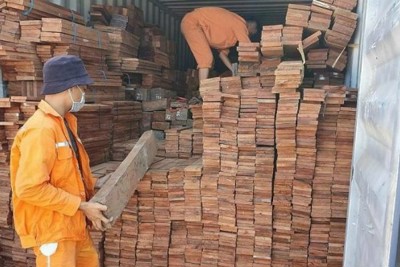 Hải quan Hải Phòng: Bắt lượng lớn gỗ quý nhập lậu