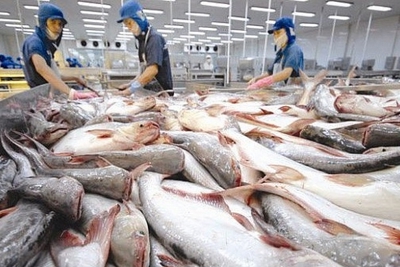 Mỹ giảm thuế chống bán phá giá với cá tra Việt Nam