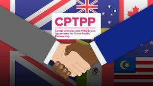 Hàn Quốc xem xét gia nhập CPTPP để mở rộng mạng lưới thương mại tự do