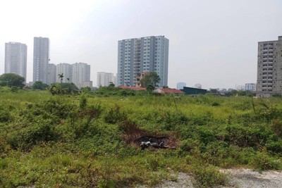 Đất vàng bỏ hoang gây lãng phí, sau thu hồi nên làm gì?