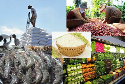 EVFTA và nông sản Việt Nam xuất khẩu: Thách thức, cơ hội và giải pháp