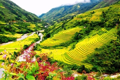 Làm rõ các giải pháp tái cơ cấu ngành du lịch giai đoạn 2016 - 2020