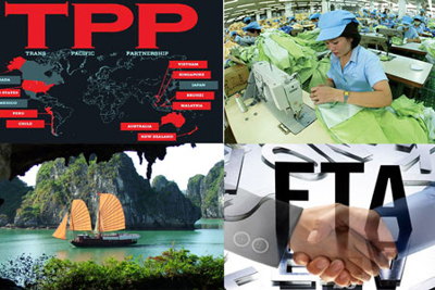 Việt Nam tiếp tục cải cách không phụ thuộc TPP