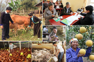 Năm 2017: Tăng vốn tín dụng chính sách