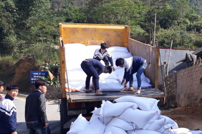 Tiếp tục triển khai thực hiện cấp gạo cho gần 500 nghìn học sinh của 47 tỉnh