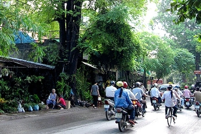 Dự báo Bất động sản Hồ Tây: Tăng không ngừng trong thời gian tới