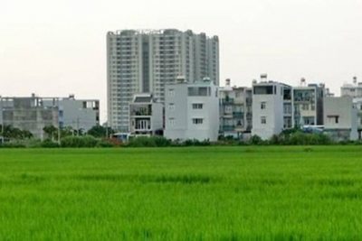  Bộ Tài chính trả lời cử tri về quy định giảm thu thuế phi nông nghiệp