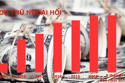 Dự trữ ngoại hối tăng cao, tiền đồng ổn định