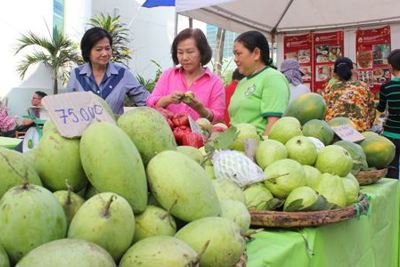 Có nên “giảm lượng, tăng chất” xuất khẩu nông sản? 