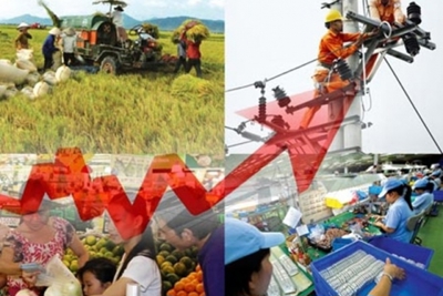 Dự kiến tăng trưởng GDP bình quân giai đoạn 2019-2020 đạt 6,90%