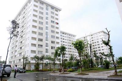 Gỡ khó nhà ở giá rẻ: Việt Nam học gì từ các nước phát triển?
