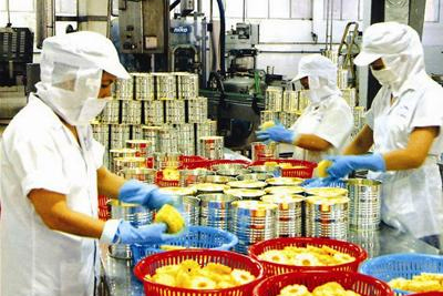 Mở rộng tài khoá mới có thể tăng thu 