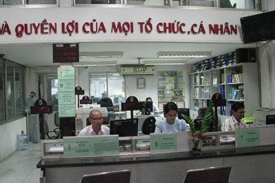  Chi cục Thuế quận 5: Tích cực hỗ trợ doanh nghiệp giảm bớt khó khăn