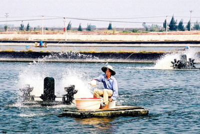 Bảo hiểm nông nghiệp: Xóa đói giảm nghèo, phát triển nông thôn (*)