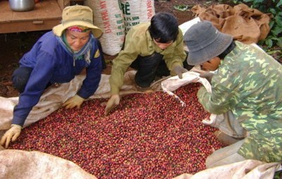 Ngành Thuế Đắk Lắk: Quyết liệt chống thất thu Ngành Thuế Đắk Lắk: Quyết liệt chống thất thu