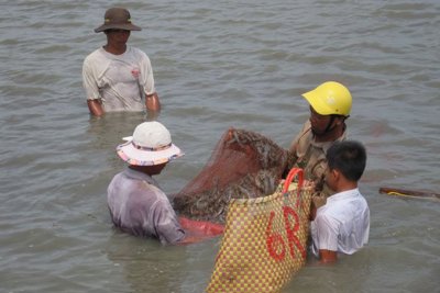   Lo ngại thuế chống trợ cấp “bóp nghẹt “ xuất khẩu tôm 