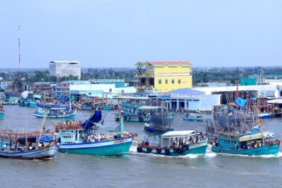  Chi cục Thuế huyện Trần Văn Thời: Tăng cường các giải pháp thu ngân sách 