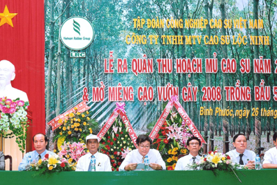 Cao su Lộc Ninh: 40 năm chặng đường phát triển