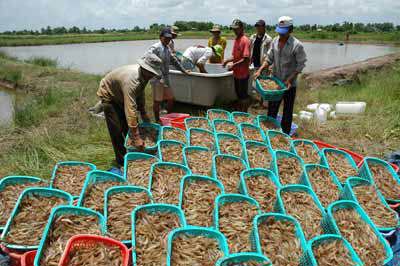 Dự kiến tăng 462 dòng thuế nhập khẩu