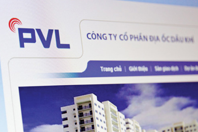  PVL đi về đâu và Chủ tịch có phải là "thực"? 