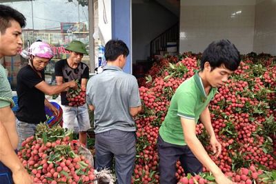Thanh niên thất nghiệp ở mức báo động
